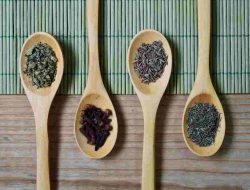 These are the benefits of Oregano for body health